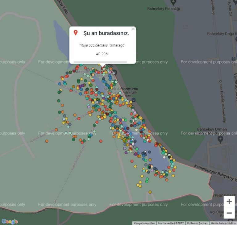 Dijital Harita & GIS