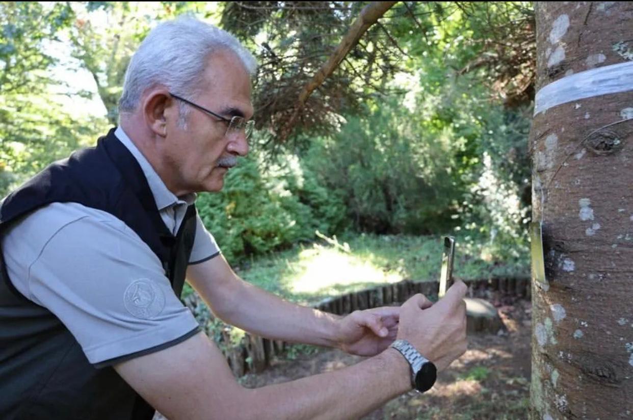 Orman Genel Müdürü